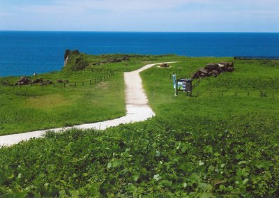 🌊 오나루 고분군(오오나루 코훈군)